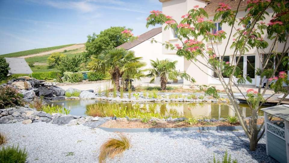 مبيت وإفطار Reuil-sur-Marne Domaine Bacchus المظهر الخارجي الصورة
