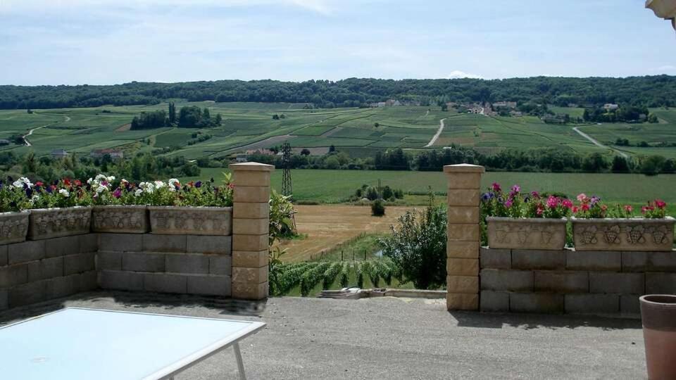 مبيت وإفطار Reuil-sur-Marne Domaine Bacchus المظهر الخارجي الصورة