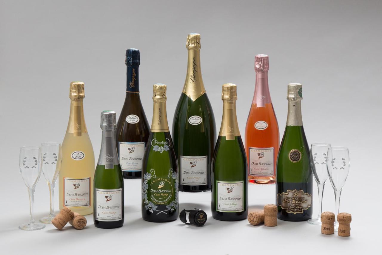 مبيت وإفطار Reuil-sur-Marne Domaine Bacchus المظهر الخارجي الصورة