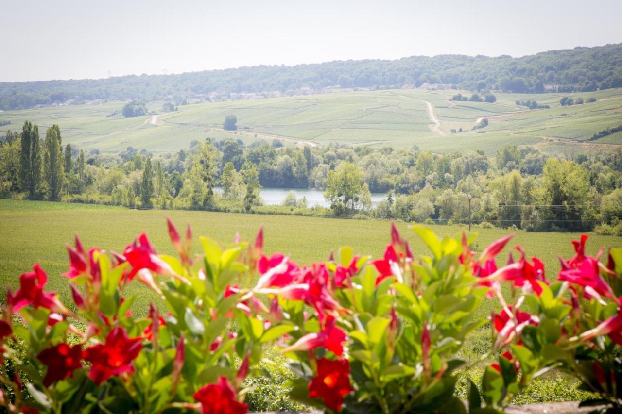مبيت وإفطار Reuil-sur-Marne Domaine Bacchus المظهر الخارجي الصورة