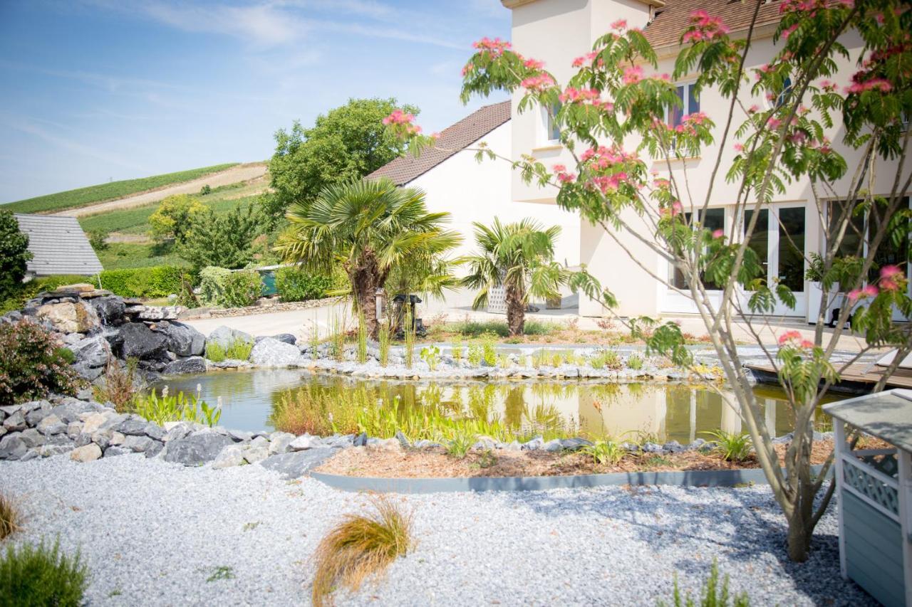 مبيت وإفطار Reuil-sur-Marne Domaine Bacchus المظهر الخارجي الصورة